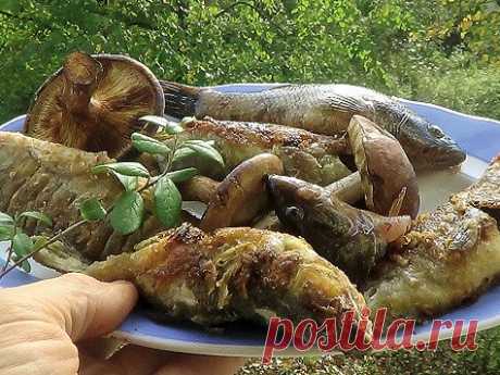 Рыба плюс грибы | Охотник и Рыболов