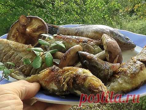 Рыба плюс грибы | Охотник и Рыболов