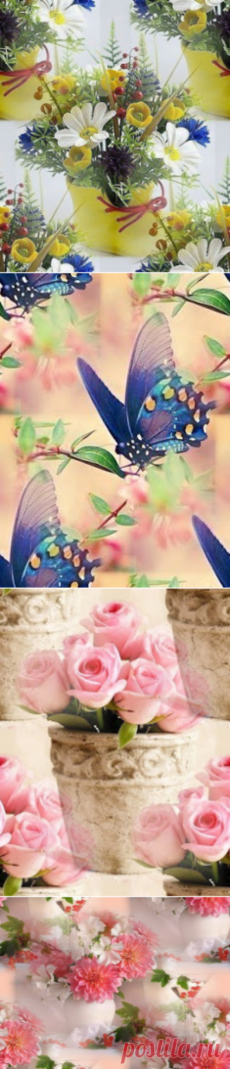 Фоны, картинки, коллажи: Цветочное