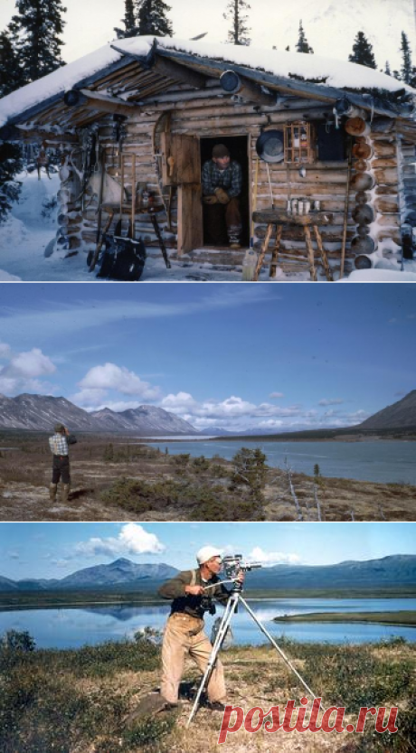 Дик Пренеке – 30 лет одиночества в горах Аляски