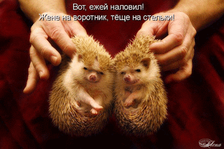 Google+