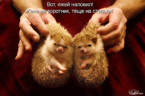 Google+