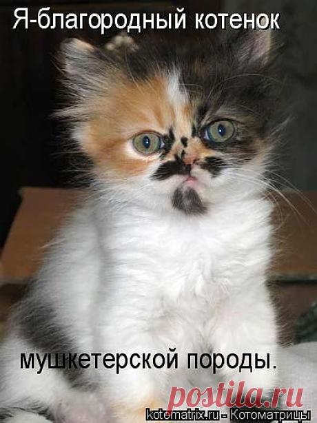 Татьяна — «71450364_1299062753_67.jpg» на Яндекс.Фотках
