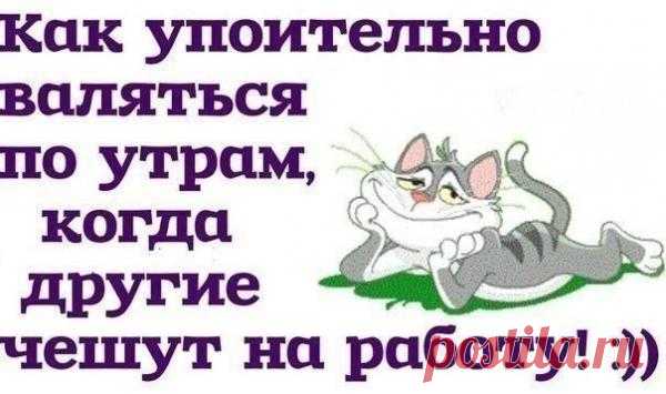 Суперприкольные картинки
