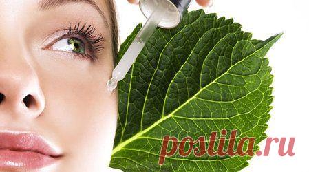 Что такое гормональная косметика / Все для женщины