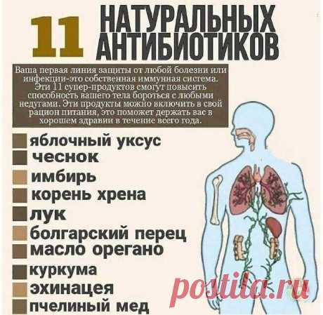 Натуральные антибиотики