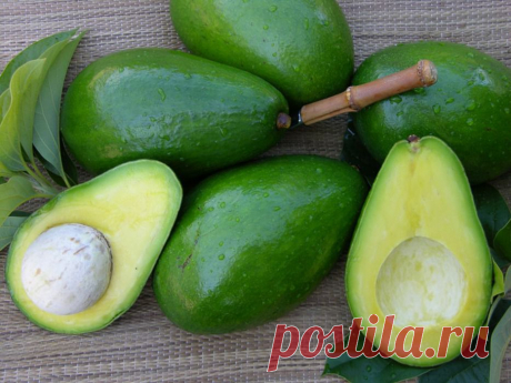 Авокадо: овощ? Фрукт? Польза!: Здоровое питание - diets.ru