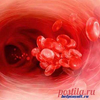 Средства для разжижения крови | helpinsult.ru
