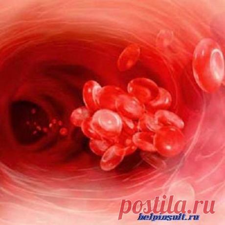 Средства для разжижения крови | helpinsult.ru