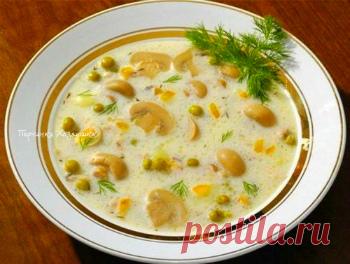 Сырный суп с курицей и грибами