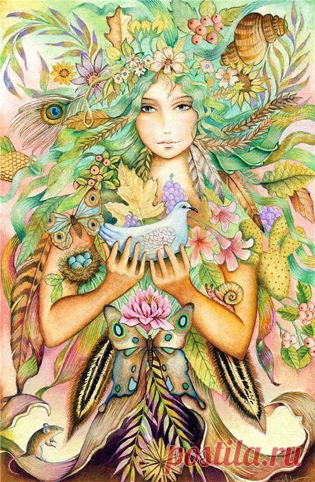 (3) Одноклассники