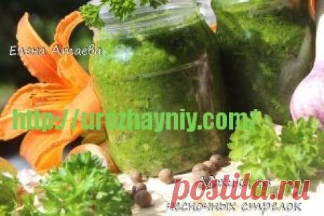 Аджика из чесночных стрелок