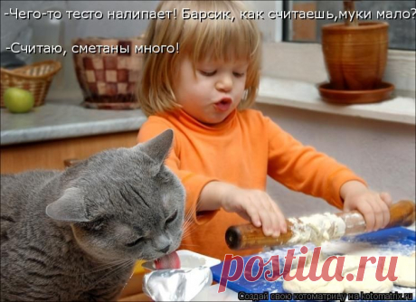 Котоматрица: Главная