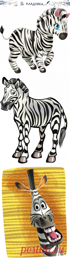 Кладовка...: Зебры - на прозрачном фоне