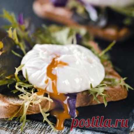 Самый простой пашот, закуска. Пошаговый рецепт с фото на Gastronom.ru