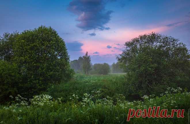 Фотография № 4692176. Фотограф Евгений Луцко