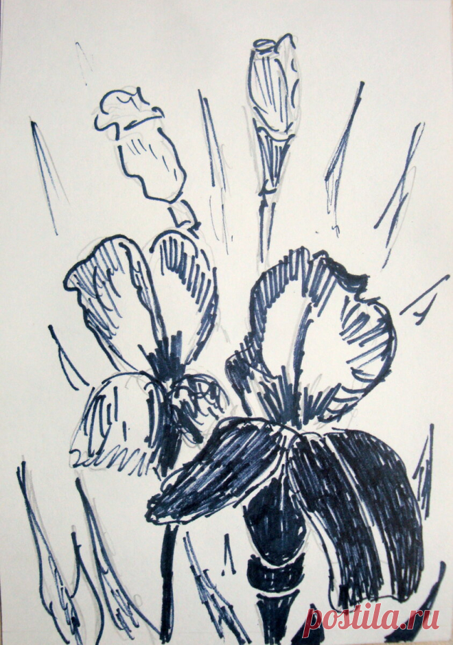 Пленэр. Часть I. Рисуем природу дома | Татьяна Уланова | Яндекс Дзен