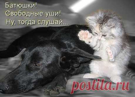 Нежный сайт о любви
Алина ♥♥♥