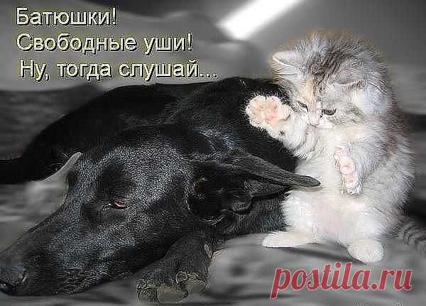 Нежный сайт о любви
Алина ♥♥♥