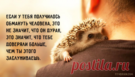 ежик