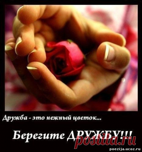 венера: Свою жизнь надо устраивать до тех пор,пока жизнь не начнет устраивать тебя