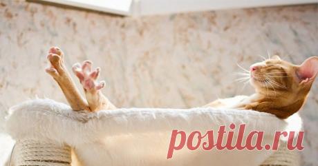 🔮 Хотите узнать, что мешает вам быть по-настоящему счастливым? — В древней китайской мудрости есть секрет: ваша жизнь состоит из 5 ключевых сфер, и именно их баланс определяет уровень вашего благополучия.

Представьте надувную лодку: даже маленький прокол может привести к тому, что вся энергия утекает впустую. Точно так же и в жизни — проблемы в одной сфере могут тормозить ваш успех, несмотря на достижения в других.