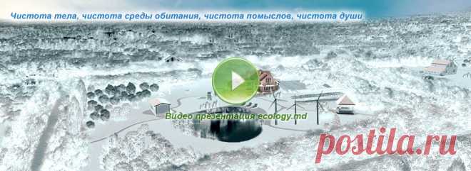 Всего одна добавка в кофе и вы забудете о проблемах с почками!