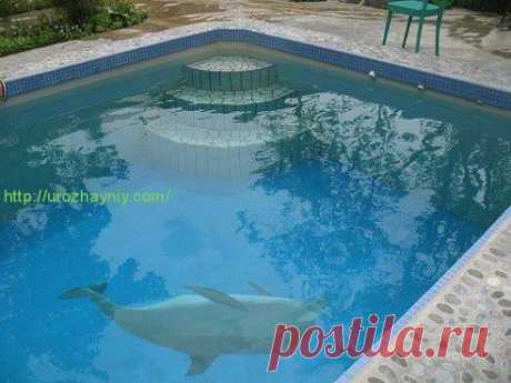 Как сделать дачный бассейн своими руками (пошагово) - https://urozhayniy.com/dachnyiy-basseyn-svoimi-rukami-avtor-viktor-vishnevskiy/