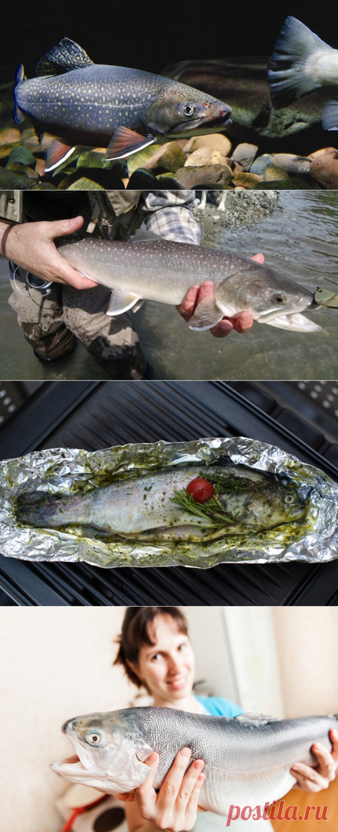 Как почувствовать себя на рыбалке, будто рыба в воде? Про форель | Физкультура и спорт