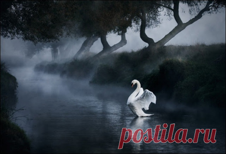 Graphics Think Tank: 200+ Adorable Examples of Surreal Photography