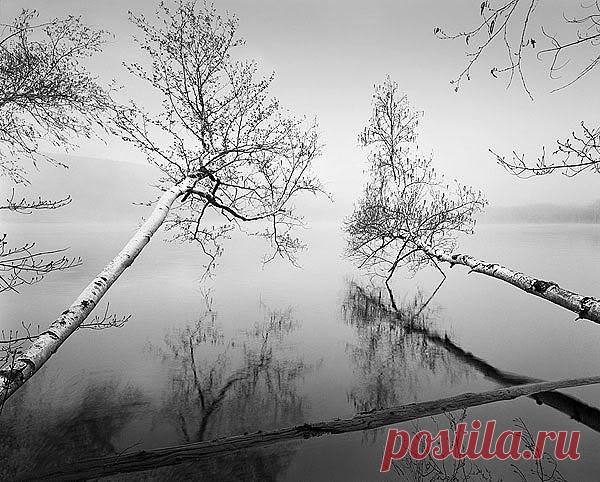 Черно-белый декупаж: подборка картинок | Азбука декупажа