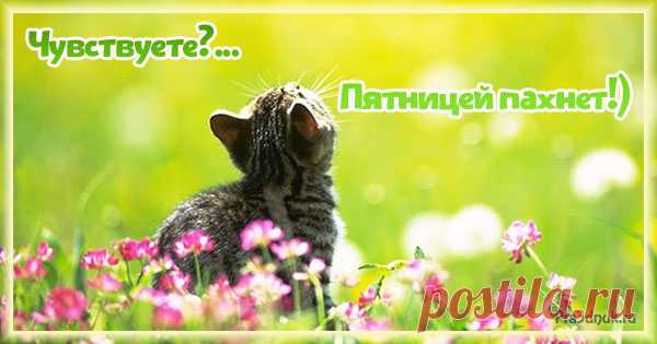 Пятницей пахнет