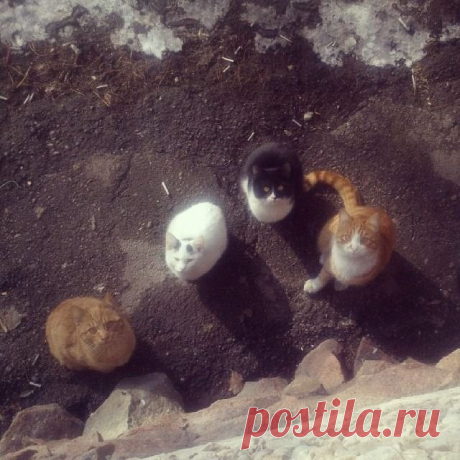 Мой Мир@Mail.Ru