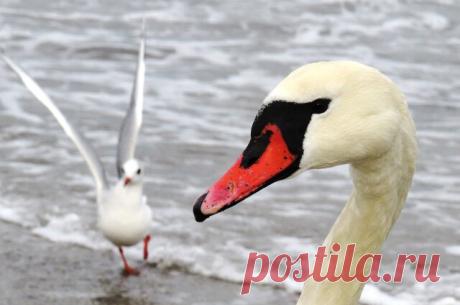 27.01.2021 Феодосия, пробежалась по набережной)