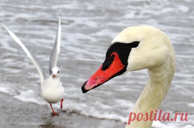 27.01.2021 Феодосия, пробежалась по набережной)