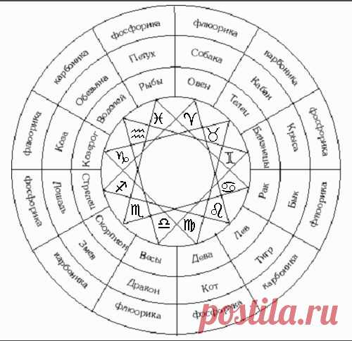 Хронобиологическое описание гомеопатических конституций.