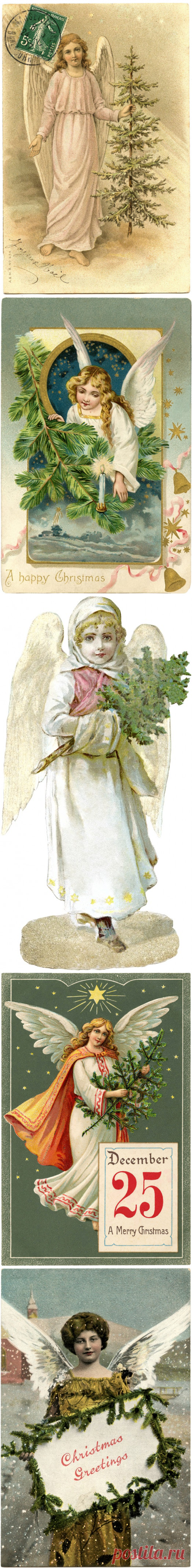 6 ангелов с новогодними елками клипарт! - Графика Сказочная