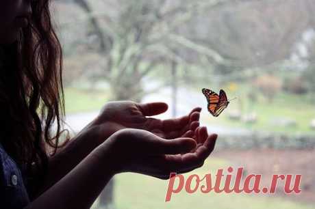 Sorriso di arcobaleno