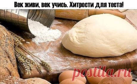 Век живи, век учись. Хитрости для теста!
1. Всегда добавляйте в тесто разведенный картофельный крахмал – булки и пироги будут пышными и мягкими даже на следующий день. Главное условие вкусных пирогов — пышное, хорошо взошедшее тесто: муку для теста необходимо просеять: из нее удаляются посторонние примеси, и она обогащается кислородом воздуха2. В любое тесто (кроме пельменного, слоеного, заварног