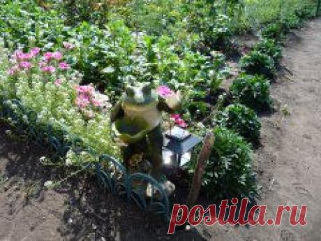 Фотоальбомы