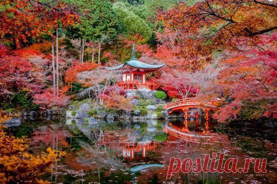 Купить билет и уехать!