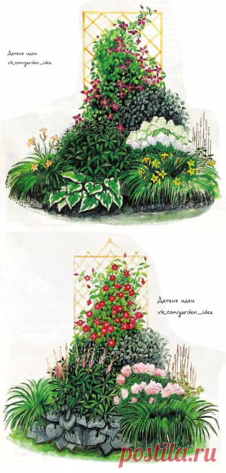 Цветники с клематисом