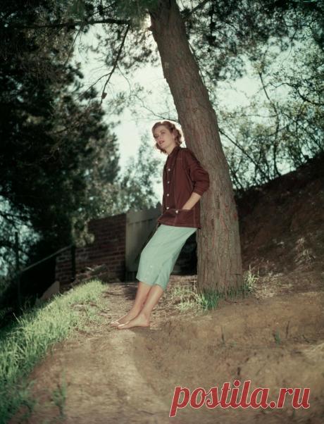 The special edition: Grace Kelly: humus — ЖЖ