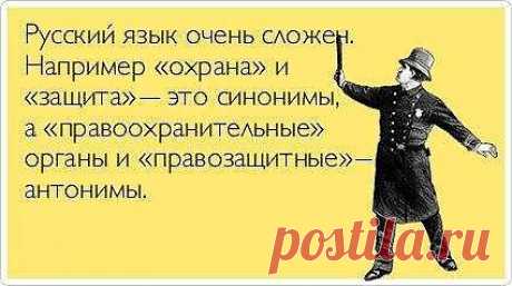 Шутка