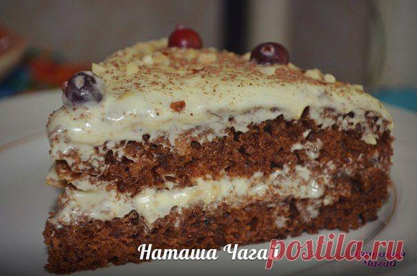 Наташа Чагай