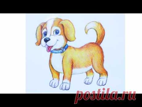 Уроки рисования. Как нарисовать щенка how to draw a cute puppy