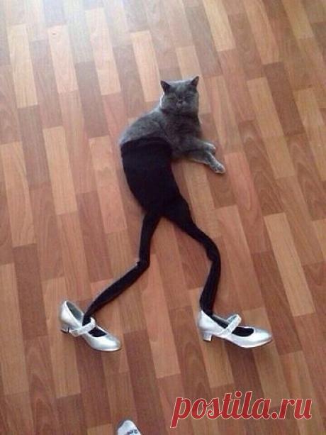 АНЕКДОТЫ.СМЕХ до СЛЕЗ!!!!