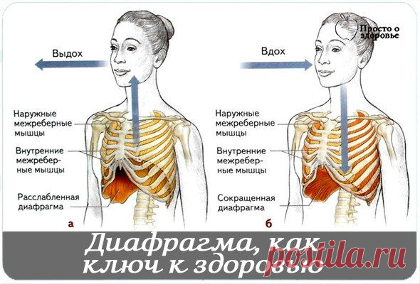 Познавательный сайт ,,1000 мелочей"