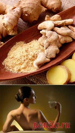 Имбирь для здоровья и красоты — полезные свойства | Красота спасает мир