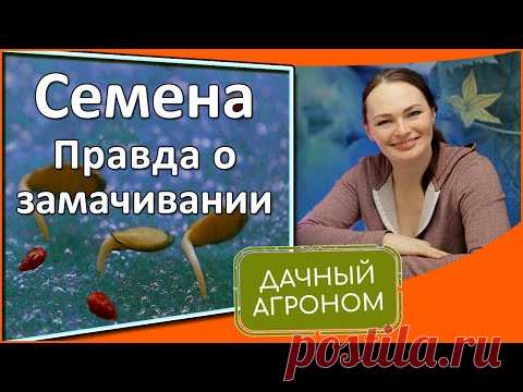 Как не убить семена  Замочить, прорастить, протравить семена перед посадкой без глупостей